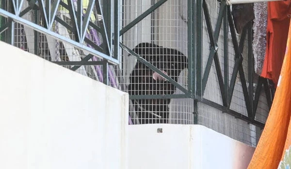 «Το ροτβάιλερ έπαιζε με τα παιδιά, δεν ξέρω τι έγινε»-Συγκλονίζει η κατάθεση του πατέρα-Βίντεο